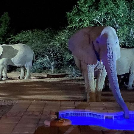 Twiga Lodge Mabalingwe Bela-Bela Esterno foto