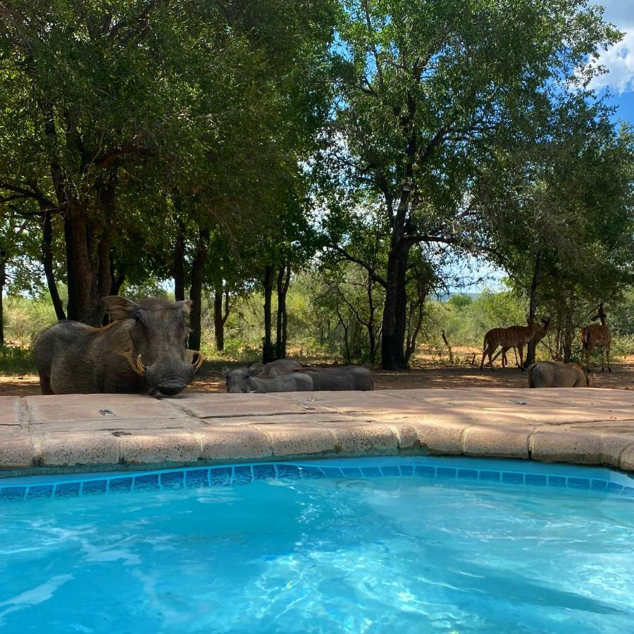Twiga Lodge Mabalingwe Bela-Bela Esterno foto