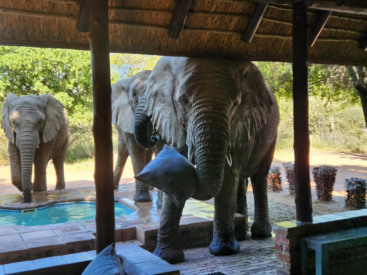 Twiga Lodge Mabalingwe Bela-Bela Esterno foto