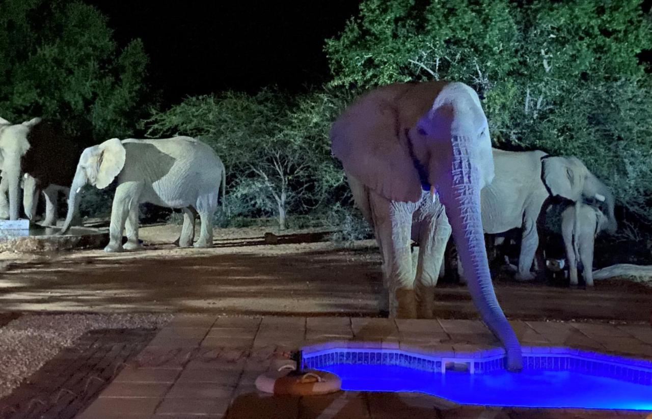 Twiga Lodge Mabalingwe Bela-Bela Esterno foto